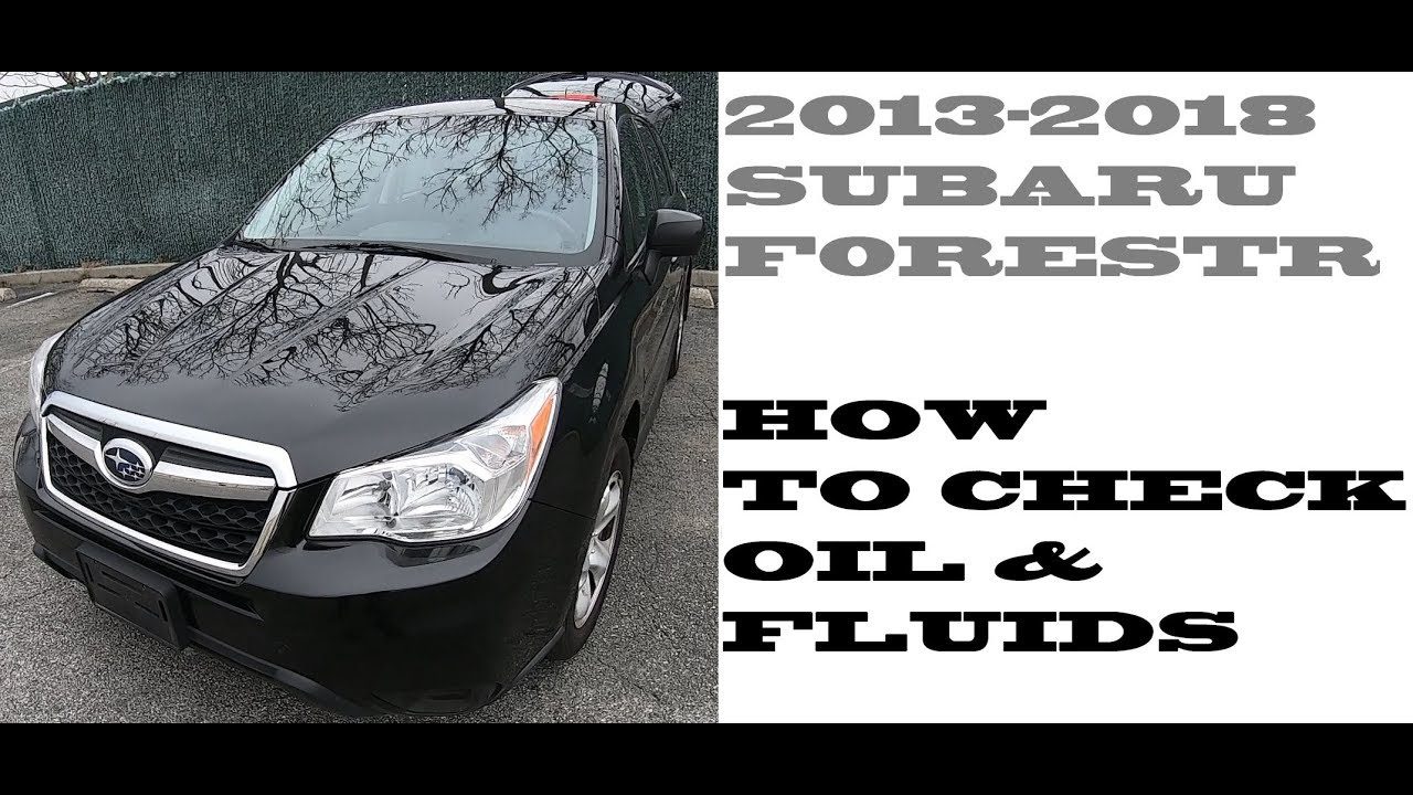 How to Check Transmission Fluid Subaru Forester