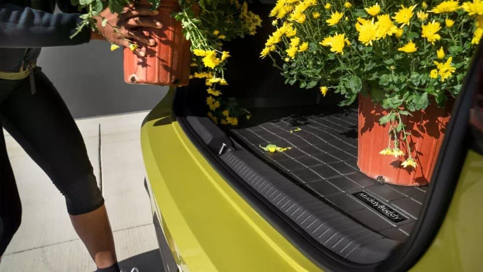 How to Open Tiguan Trunk from Inside