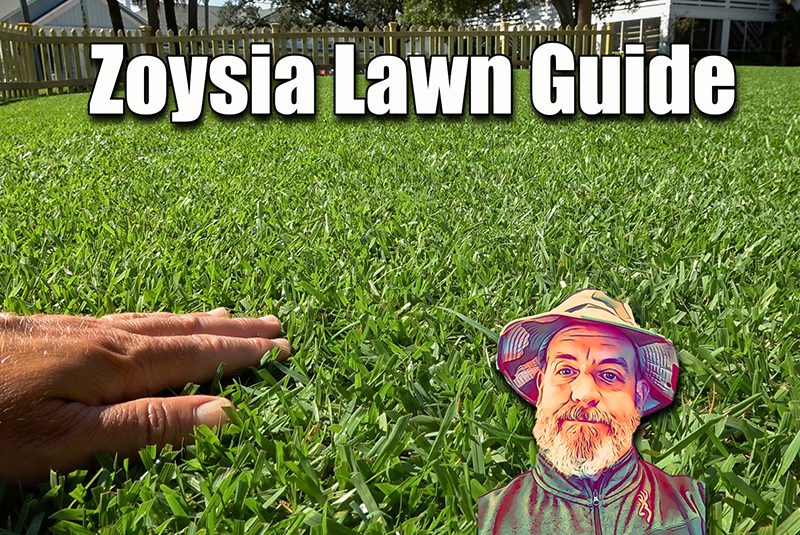 What is a Good Fungicide for Zoysia Grass?
