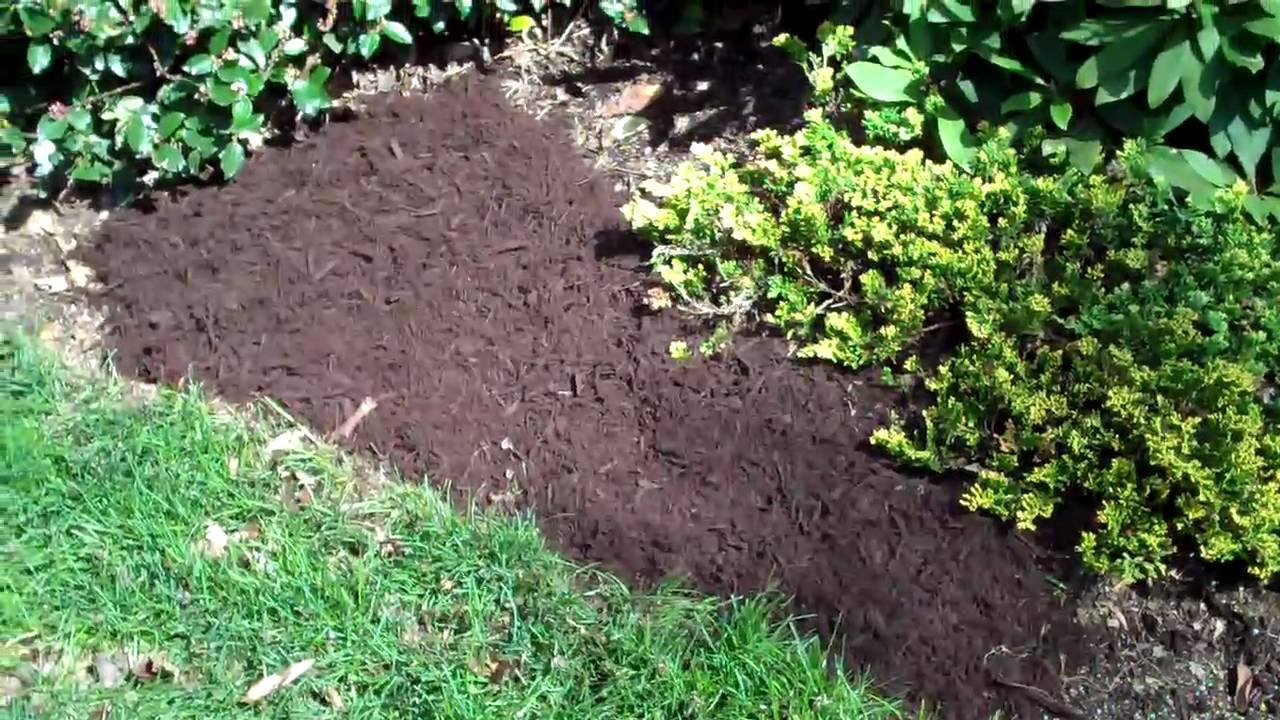 What is the Fastest Way to Spread Mulch?