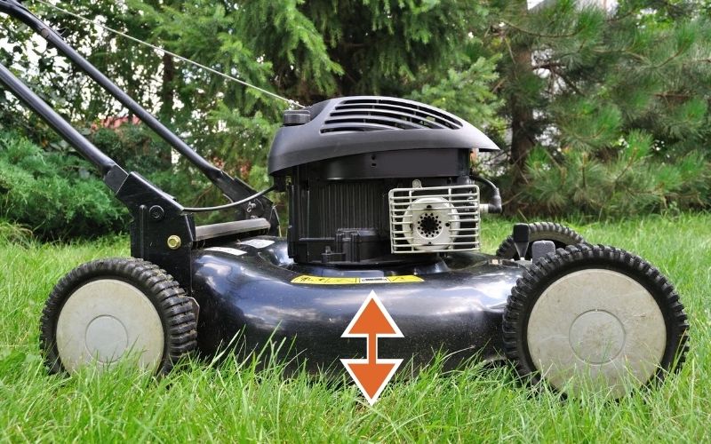 What Setting Should My Lawn Mower Be on to Cut Grass?