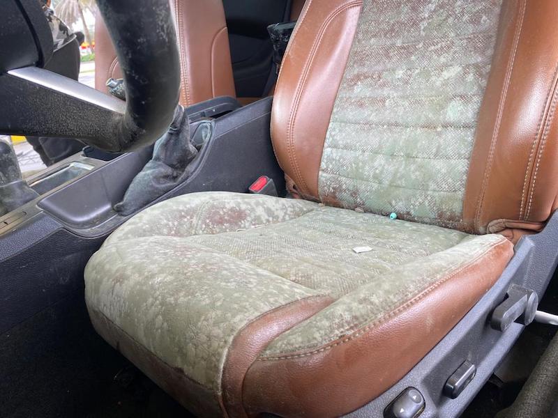 How to Get Odor Out of Leather Car Seats