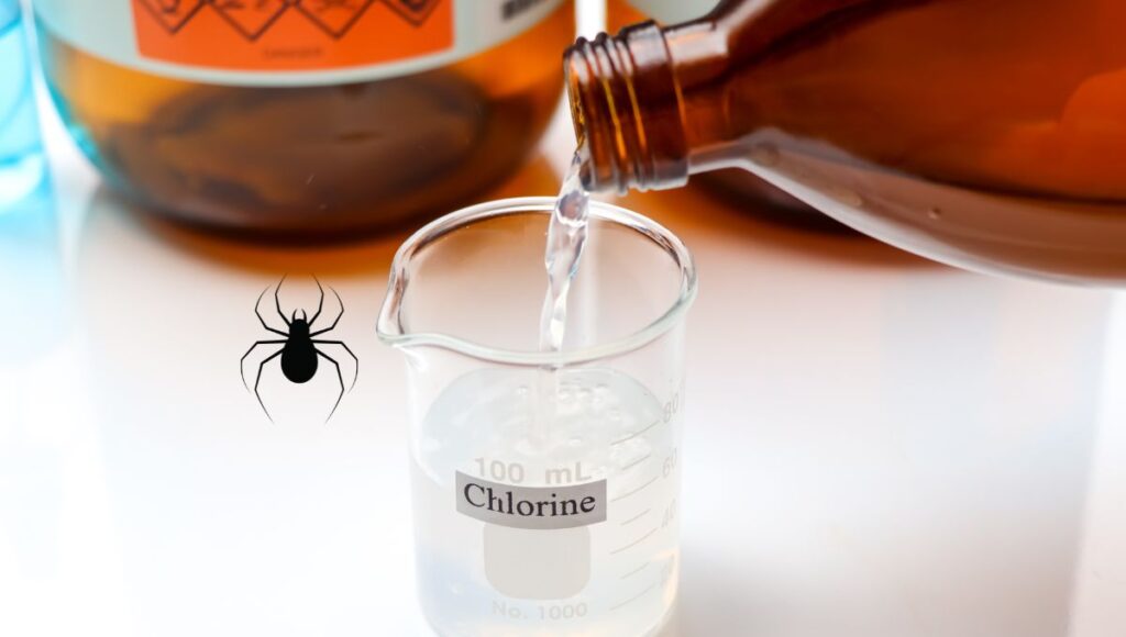 Chlorine Kill Spiders