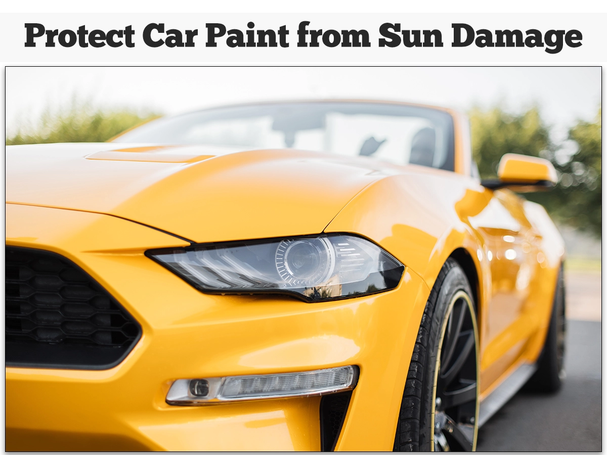 How to Protect Car Paint from Sun Damage