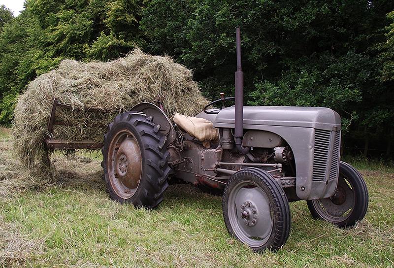 How Much is a 1949 Ferguson Tractor Worth